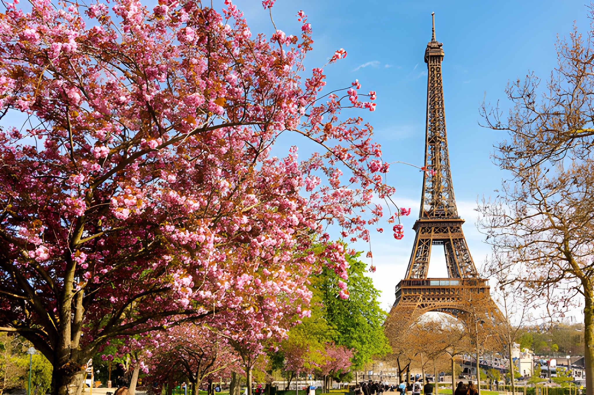 Endocrinologue Paris