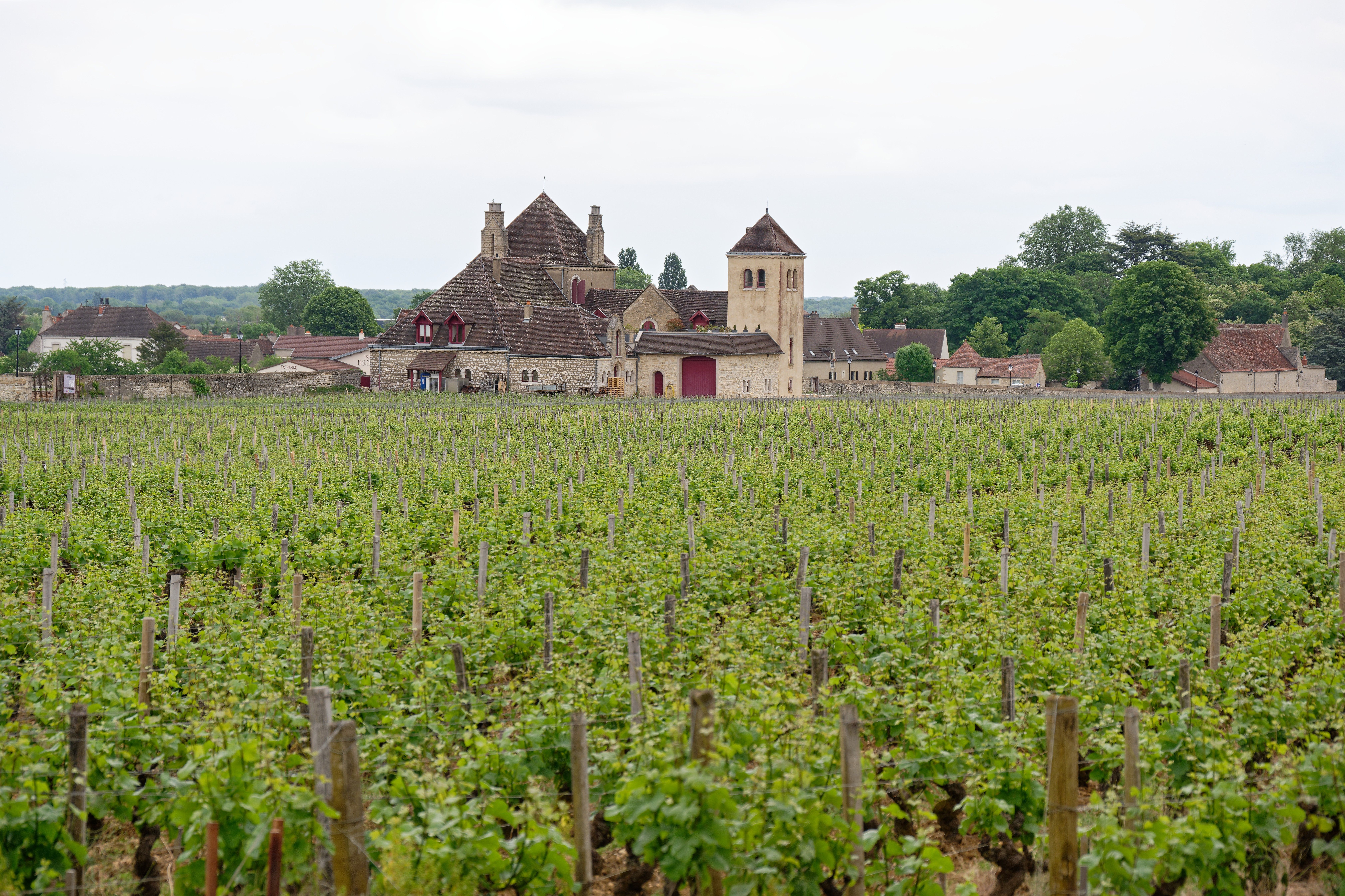 Médecin coordonnateur en Bourgogne-Franche-Comté
